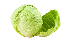 潮流电竞汇聚 - 金年会平台